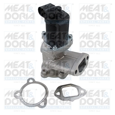 EGR Valve
